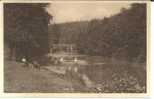 Houyet. Pont Sur La Lesse. S.N.C.B.: 2000 Trains D'excursion Par An. Brug Op De Lesse. N.M.B.S.: 2000 Excursietreinen... - Houyet