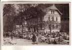 GOOD OLD CZECH POSTCARD - Karlovy Vary / Karlsbad - Cafeteria - Caffé