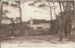 13 - MARSEILLE - SAINTE-MARTHE - La Tour Sainte, Vue à Travers Les Arbres - Nordbezirke, Le Merlan, Saint-Antoine