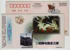 Crane Bird Sculpture,China 1997 Sanming Post & Telecom Advertising Pre-stamped Card - Cranes And Other Gruiformes