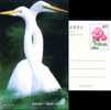 Bird Crane  Pre-stamped Postcard - Gru & Uccelli Trampolieri