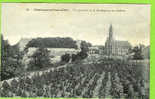 CHATEAUNEUF SUR CHER  Vue Générale De La Basilique Et Du Château - Chateauneuf Sur Cher