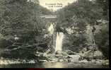 Brand New PPC, Early 1900´s - Loch Lomond - Inversnaid Falls - Stirlingshire