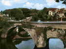 CPSM Colorisée  Graulhet Pont Vieux Sur Le Dadou - Graulhet