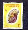 COMORES 1962  YT 20  COQUILLAGE SHELL  - HARPE  NEUF ** - Neufs