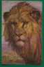 LIONS - BERLIN ZOO - R. TUCK & Sons Serie LOWEN - Nro. 1220 - Leones