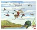 Romania ,2007 BIRDS VERY RARE BLOCK IMPERFORATED NUMEROTE MNH,OG,TIRAJ LIMITE - Full Sheets & Multiples