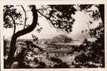 Delcampe - 20 / CALVI / VUE PRISE ENTRE LES OLIVIERS / EDIT REAL PHOTO N 36 - Calvi