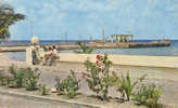 Delcampe - ISLA DE COZUMEL / EL BOULEVARD Y MUELLE FISCAL - Mexiko