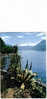 Carte Postale  Italie Suisse Lago Maggiore Le Lac Majeur  BRISSAGO - Brissago