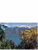 Carte Postale  Italie Suisse Lago Maggiore Le Lac Majeur  LOCARNO - Locarno