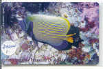 Telecarte JORDAN JORDANIE (1) Phonecard JORDAN TROPICAL FISH POISSON CORAL - Giordania