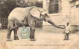 9911 - PARIS, Au Jardin Des Plantes - L´éléphant Saïb Et Son Cornac Neff - 1906 - Olifanten