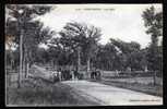 56 PORT LOUIS, Promenade Des Pâtis, Tacot Et Attroupement De Personnes, Animée, Coll. H. Laurent, Non Voyagée - Port Louis