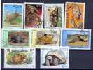 Lot De 9 Timbres Oblit. De Tortue ****   Turtle - Tortues