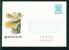 Uct Bulgaria PSE Stationery 1990 Flora MUSHROOM #11 Mint/1875 - Enveloppes