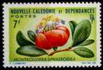 NOUVELLE CALEDONIE N° 319 * - Sonstige & Ohne Zuordnung