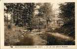 87 - HAUTE VIENNE - St SULPICE Les FEUILLES - UN JOLI COIN Pres Du MOULIN De PEUPITON - Saint Sulpice Les Feuilles