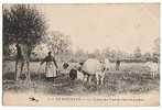 CPA 58 En Nivernais - La Traite Des Vaches Dans La Prairie - Bourgogne