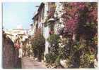 Cpsm 06 ANTIBES Rue Du Haut Castelet  Acces Fleuri - Antibes