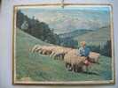 ALMANACH DES POSTES &TELEGRAPHES 1964 TROUPEAU MOUTONS AU COL  D'ASPIN ETAT  VOIR SCANN PAS FACILE A TROUVER COMPLET - Groot Formaat: 1961-70