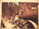 Gorges De La Bourne En Hiver - Vercors