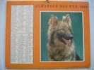 CALENDRIERS ALMANACH DES P.T.T. DOUBLES PHOTOS /COMPLET ETAT VOIR SCANN /1969 CHIENS CHATS  SIAMOIS - Groot Formaat: 1961-70