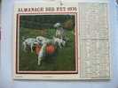 CALENDRIERS ALMANACH DES P.T.T. DOUBLES PHOTOS /COMPLET ETAT VOIR SCANN /1976  LES 7 DALMATIENS  CHATONS - Big : 1971-80