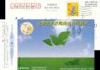 Cartoon Grassland  Dove Pigeon  Bird    Postal Stationery,  Pre-stamped Postcard - Andere & Zonder Classificatie