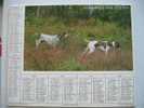 CALENDRIER ALMANACH DES P.T.T. DOUBLES PHOTOS  DE 1981 CHASSE AUX CANARDS / POINTERS A POILS RAS - Tamaño Grande : 1981-90