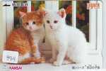 CHAT Cat KATZE Poes KAT Gato GATTO (999) - Cats