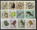 FAUNA - SNAKES - FROGS - On POLAND 1963 Complete Set Of 12 - USED - YVERT # 1259/1270 - Serpents