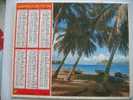 CALENDRIER ALMANACH DES  P.T.T. 1981 LE DIAMANT MARTINIQUE / LES SAINTES GUADELOUPE - Big : 1981-90