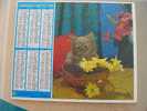 CALENDRIER ALMANACH DES  P.T.T. 1981 CHIENS CHATS - Grossformat : 1981-90