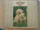 CALENDRIER ALMANACH DES  P.T.T. 1982  CHIENS / COTONS DE TULEAR TECKELS A POILS LONGS - Tamaño Grande : 1981-90