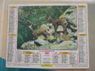 CALENDRIER ALMANACH DES  P.T.T. 1989 MONTAGNE EN ETE CHAMOIS - Big : 1981-90