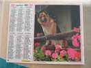 CALENDRIER ALMANACH DES  P.T.T. 1990 CHEVAL CHIEN BERGER ALLEMAND - Tamaño Grande : 1981-90