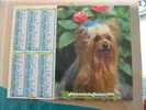 CALENDRIER ALMANACH DES  P.T.T. 1992 /CHIENS CHATS - Grossformat : 1991-00