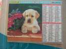 CALENDRIER ALMANACH DES  P.T.T. 1998 / CHIENS CHATS - Groot Formaat: 1991-00