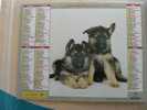 CALENDRIER ALMANACH DES  P.T.T DE 2000  / CHIENS - Groot Formaat: 1991-00