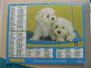 CALENDRIER ALMANACH DES  P.T.T DE 2002  / CHIENS  CHIOTS - Grossformat : 2001-...