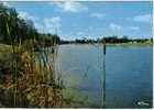 Carte Postale  47.  Miramont-de-Guyenne Le Lac Du Saut-du-Loup - Monflanquin