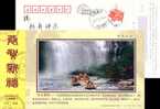 Waterfall Floating.  Postal Stationery,  Pre-stamped Postcard - Other & Unclassified