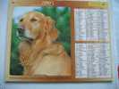 CALENDRIER ALMANACH DES P.T.T. DOUBLE PHOTOS/ 2005 /CHIENS CHEVAL HAFLINGER  GOLDEN RETRIEVER - Big : 2001-...