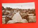 Sunken Gardens, Clackton On Sea , RPPC, PU 1956  VF  D7036 - Brighton