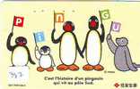 Oiseau PENGUIN Pinguin MANCHOT PINGOUIN Bird (382) - Pingouins & Manchots