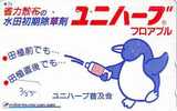Oiseau PENGUIN Pinguin MANCHOT PINGOUIN Bird (385) - Pinguins