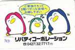 Oiseau PENGUIN Pinguin MANCHOT PINGOUIN Bird (387) - Pingouins & Manchots