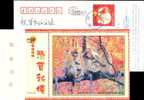 Monkey,   Postal Stationery,  Pre-stamped Postcard - Singes