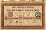 PALMERAIES AFRICAINES Part De Fondateur (art. N° 197 ) - Afrika